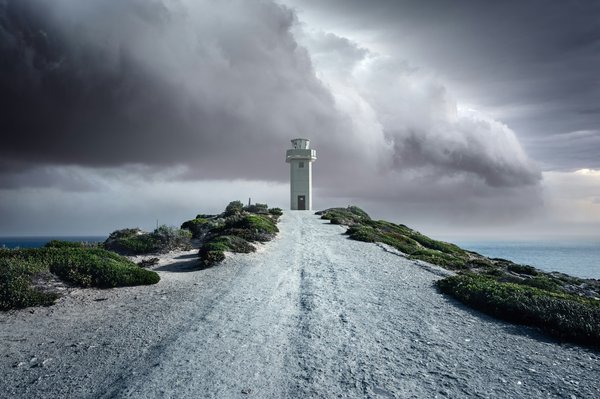 Comment créer un coin repos sécurisé pour un chien craintif ?